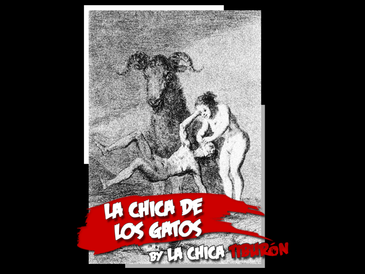 La chica de los&nbsp;gatos