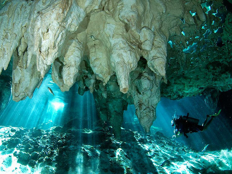Scuba-dive-in-Cenote-Dos-Ojos