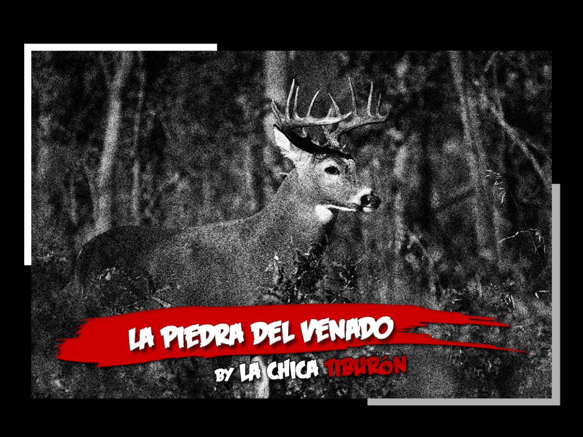 La piedra del&nbsp;venado